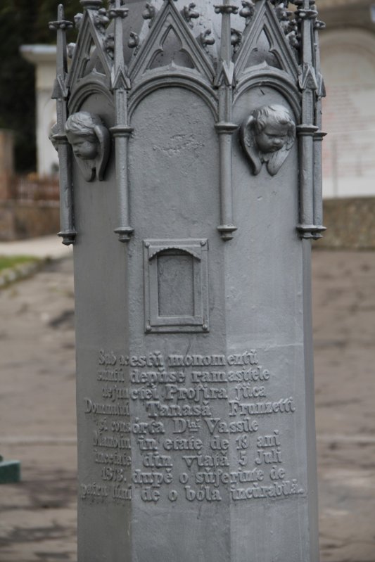 Cimitirul Grădini din Fălticeni, locul de odihnă al Lovineștilor 197606