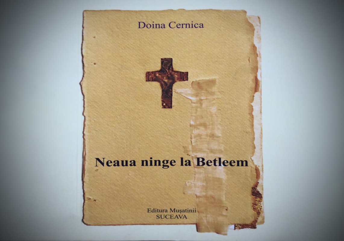 Ninsoarea logosului doinit 197639