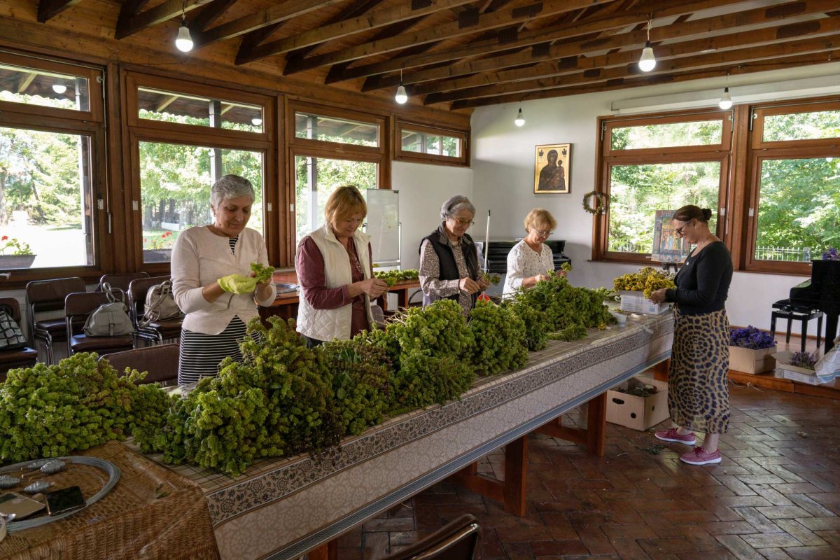 Boarea de vânt care însufleţeşte lucrurile  197228