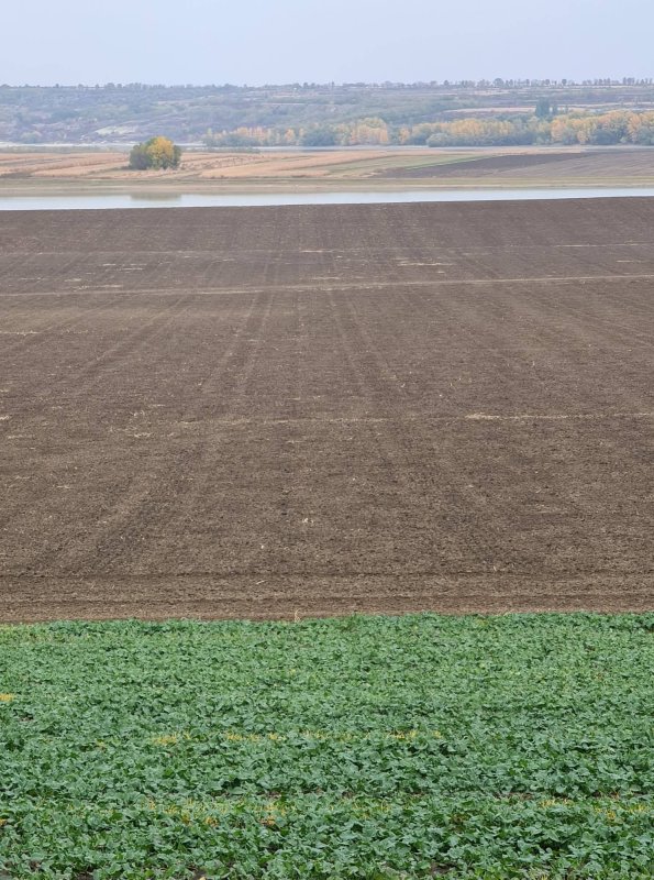 Toamnă cu secetă „extrem de severă” în nord-estul României 199034