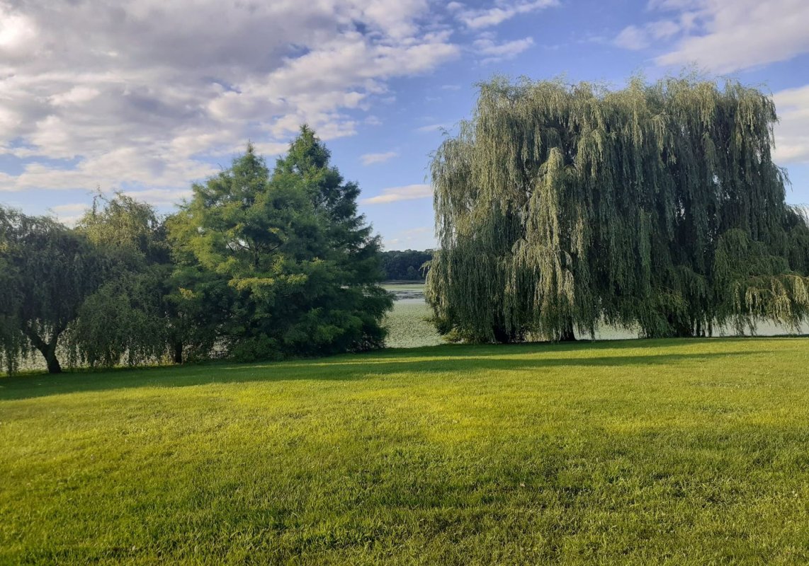 Parcul Dendrologic Chitila 199744