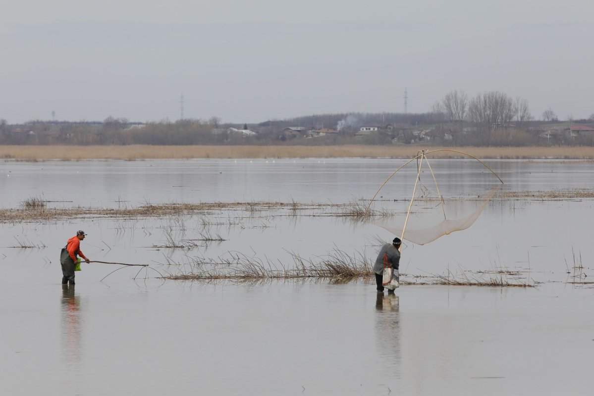 Criză de pescari  în Dobrogea 200607
