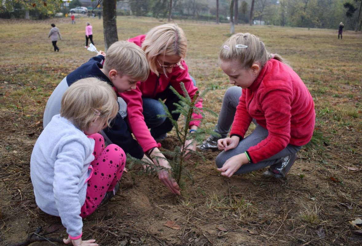 Educație pentru mediu în programa şcolară 200602