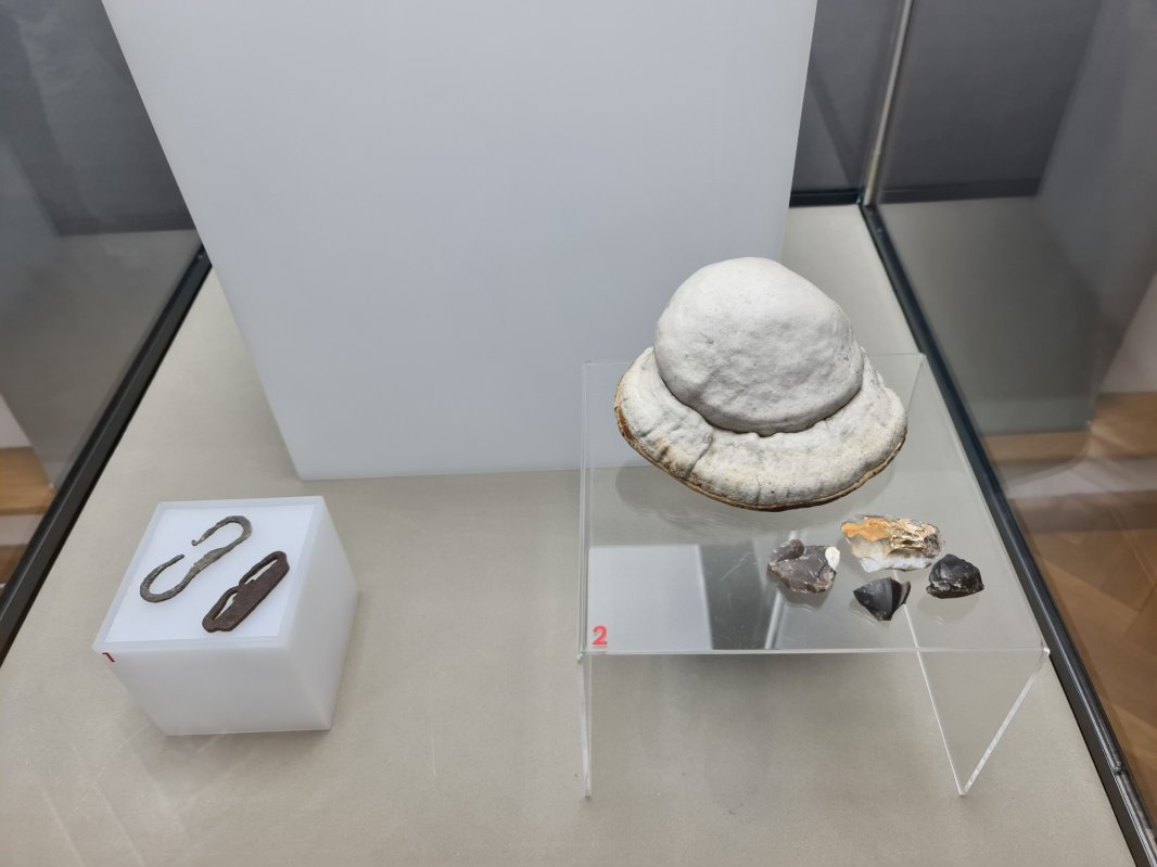 „Ecleraj”, o expoziție-poveste despre cum s-a făcut lumină 201021