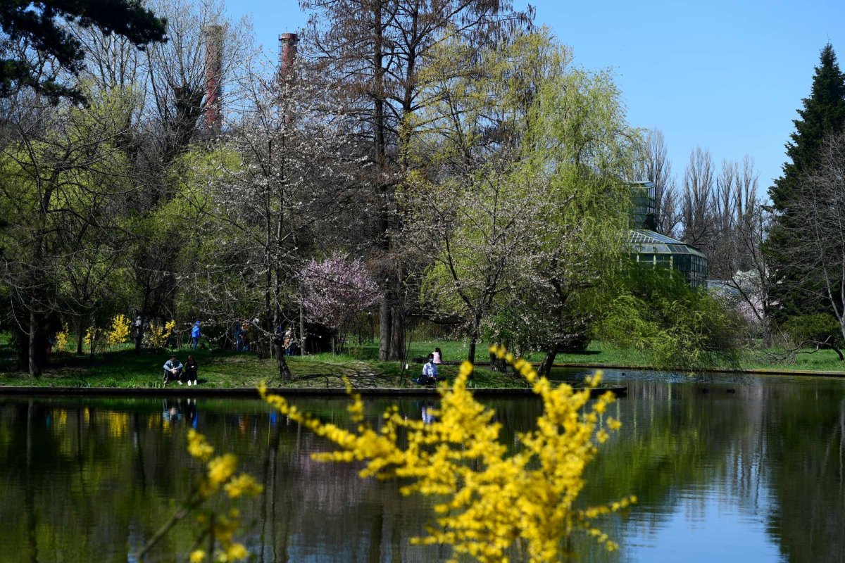 O oază într-un oraș 201255