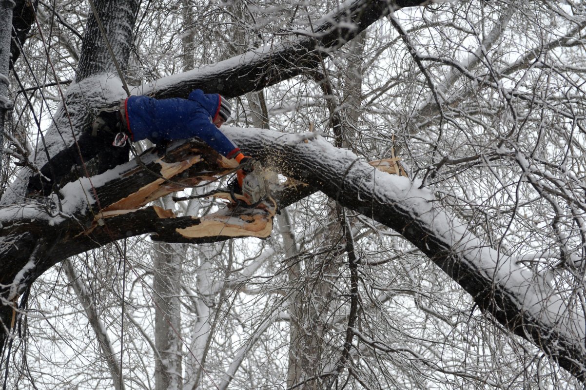 Pagube produse  de vântul puternic 201258