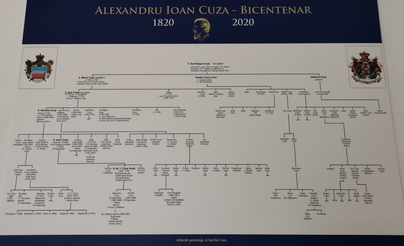 Reformele lui Cuza, exemplu de „patriotism luminat” 201413