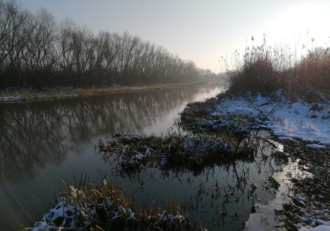 „Deltă” în miniatură la Timișoara 202557