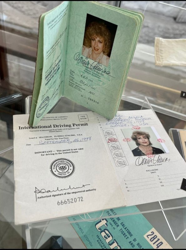 Expoziția „Corina Chiriac,  istoriile unei mari artiste” 202885