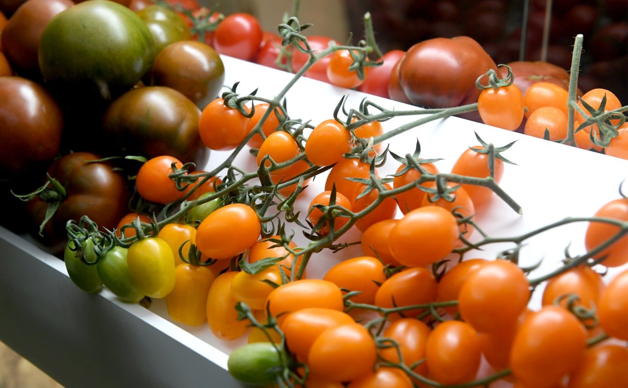 Mai puțină birocrație în programele legumicultorilor 203059