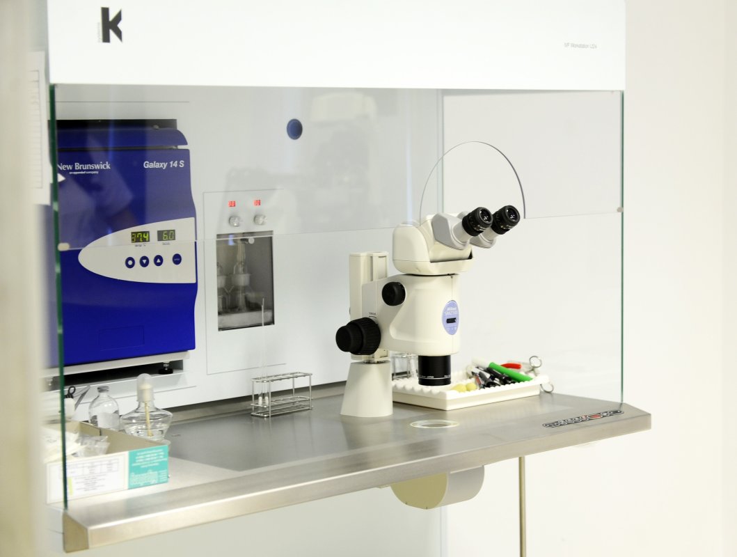 Decontări pentru tratamente de fertilitate 203479