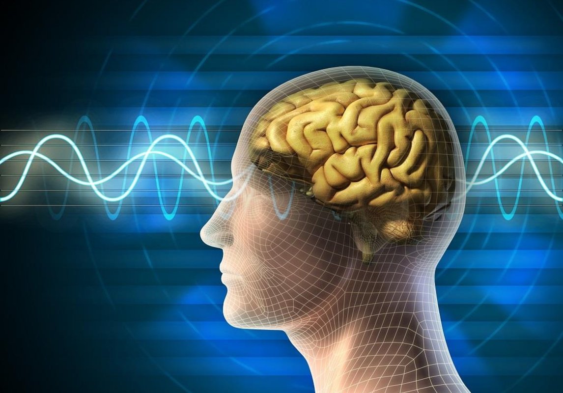 Creierul, vigilent și în somn 203863