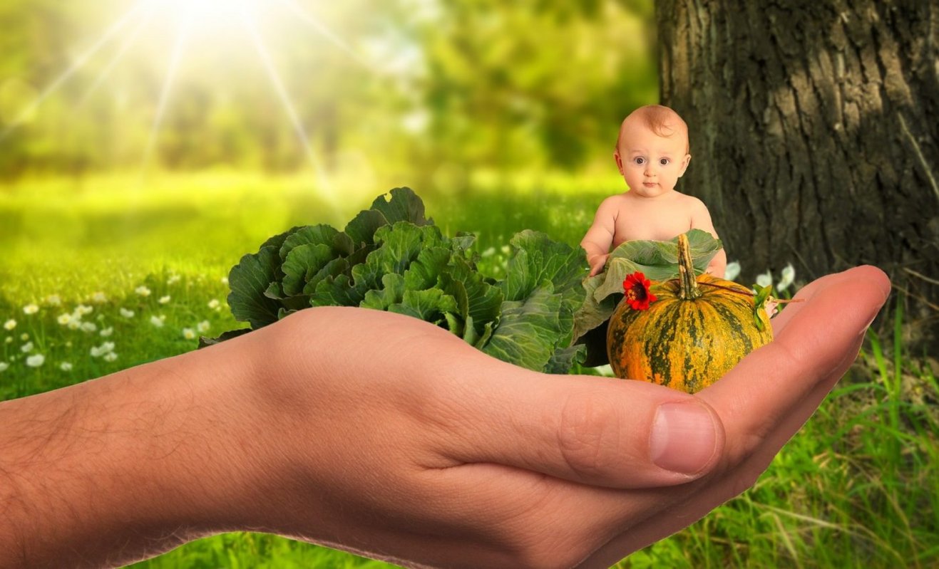 Cum obișnuim copiii cu legumele 203866