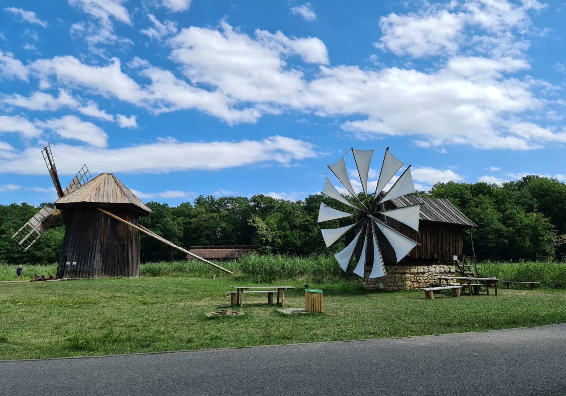 Ziua Națională „Constantin Brâncuși”, marcată în muzee 204194