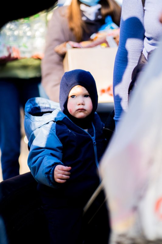 Alimente, asistență spirituală, locuri de cazare pentru ucraineni în Arhiepiscopia Sucevei și Rădăuților  204575