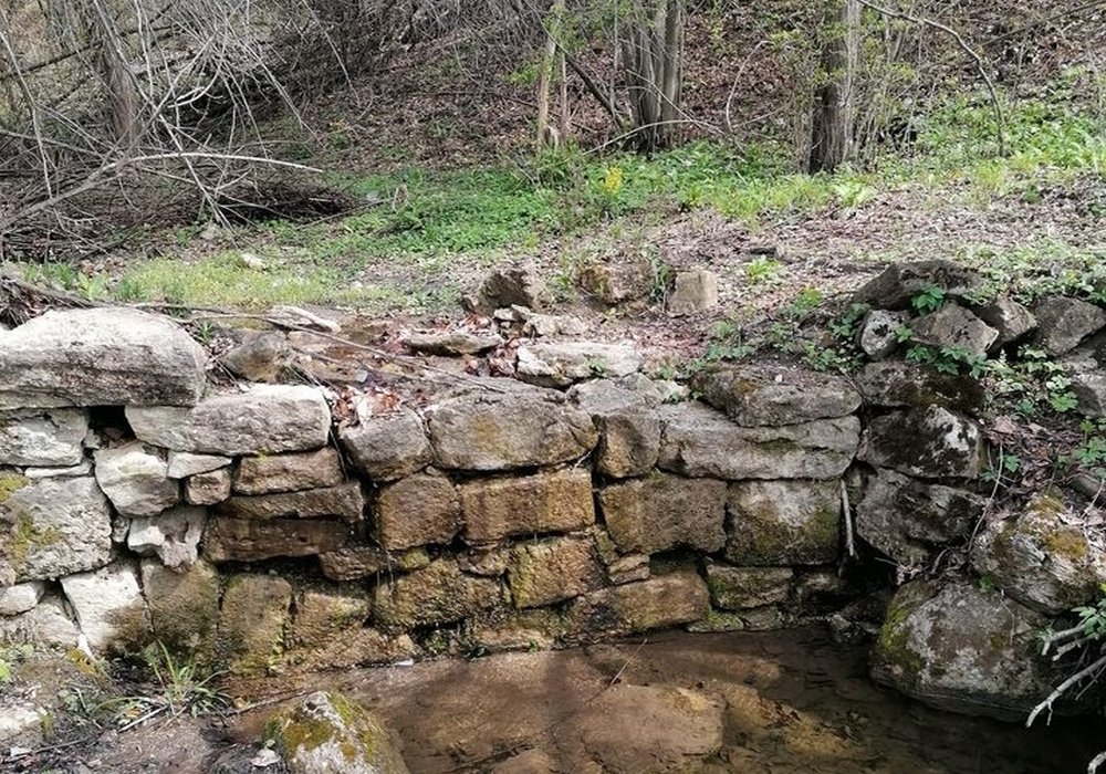 Cum să ne folosim de minte pentru  a sări peste zidul numit împătimire 204467