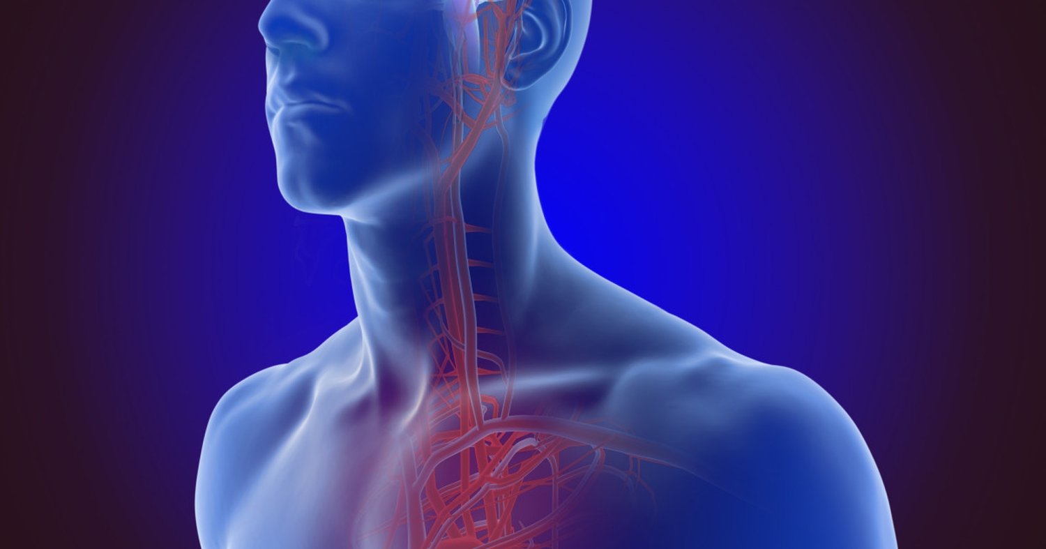 Factori de reducere a riscurilor cardiace 205300