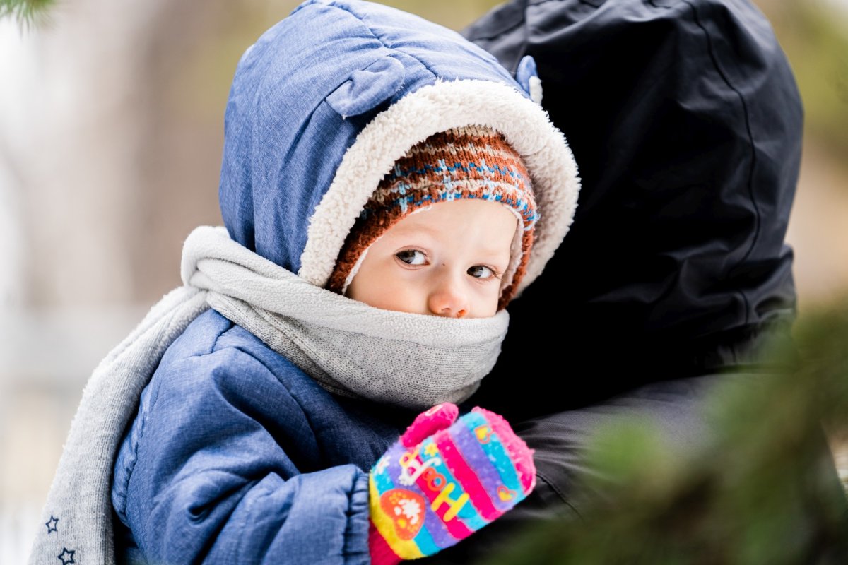 Evenimente dedicate moștenirii mușatine în Arhiepiscopia Sucevei și Rădăuților 206366