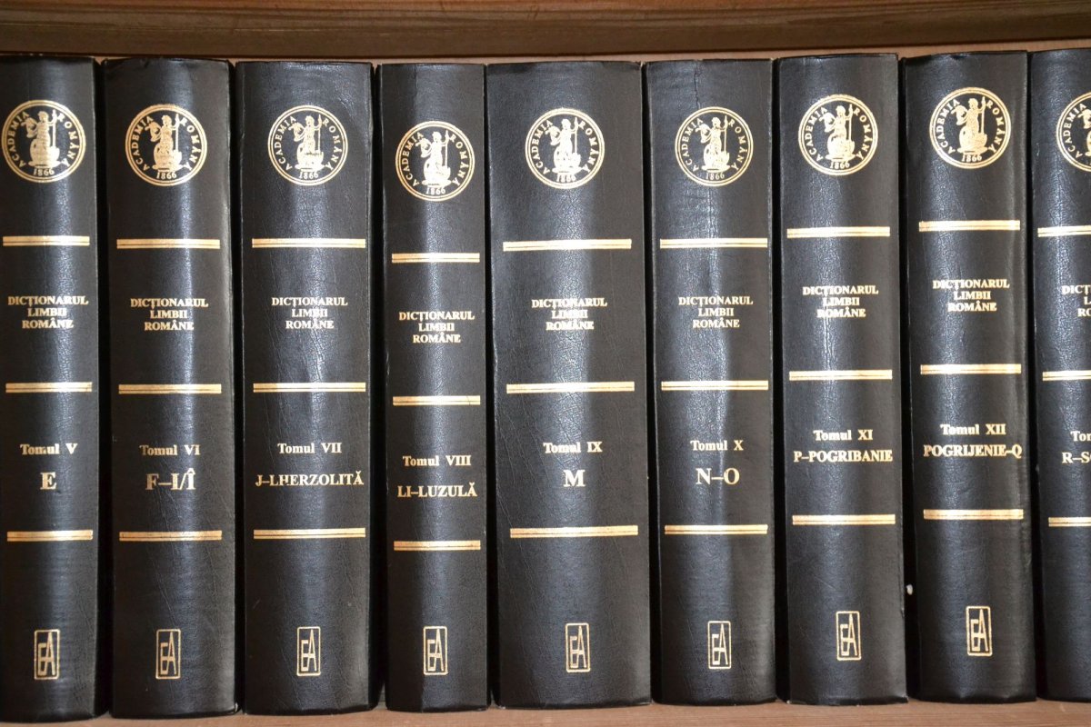 „Limba vorbită, ca și veșmintele, te reprezintă” 206628