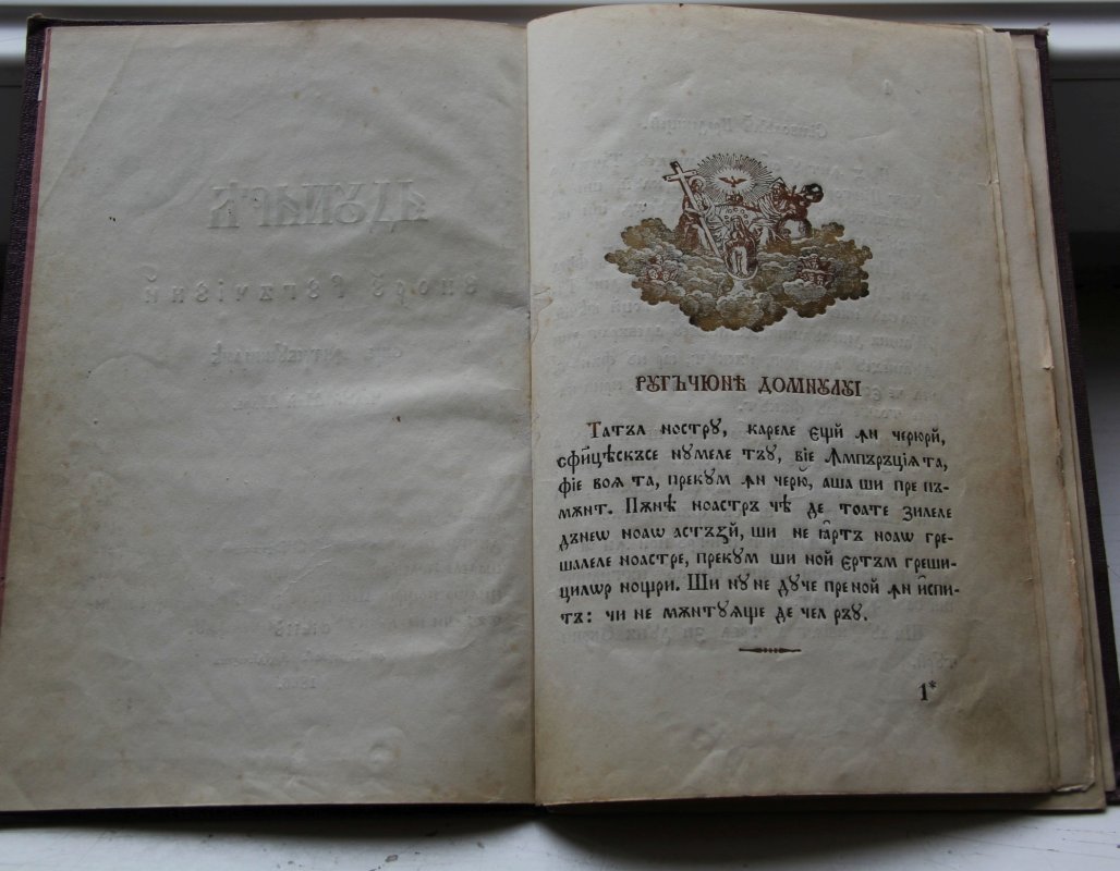 Sfântul Ierarh Andrei Şaguna, un om al rugăciunii 206606