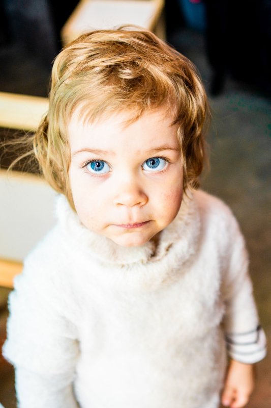 Sprijin internațional în acțiunile de întrajutorare a refugiaților ucraineni desfășurate de Arhiepiscopia Sucevei și Rădăuților 206716