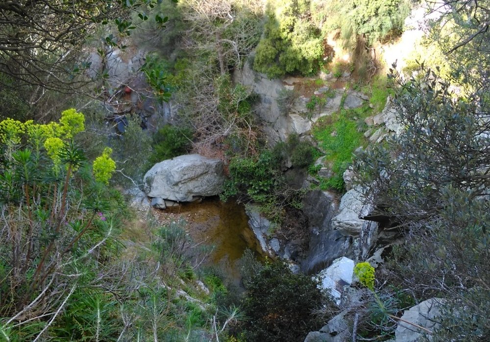 Fără motivație bună rătăcim în loc neumblat şi nu pe cale 206818