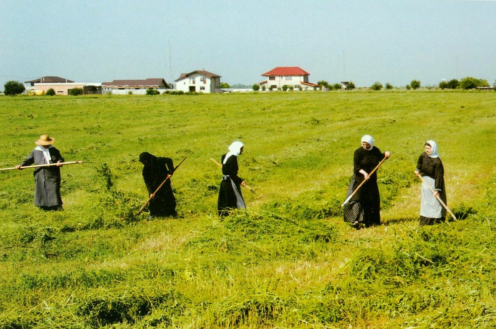 Munca și importanța ei în nevoință 207255