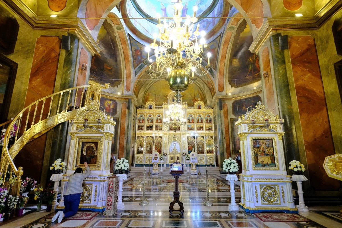 Recunoștință și bucurie 207241