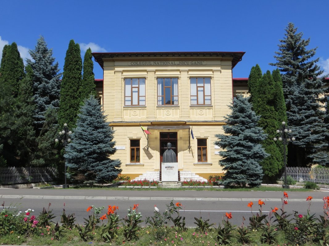 Pilduitor chip al unui profesor de vocație - Mioara Gafencu 207397