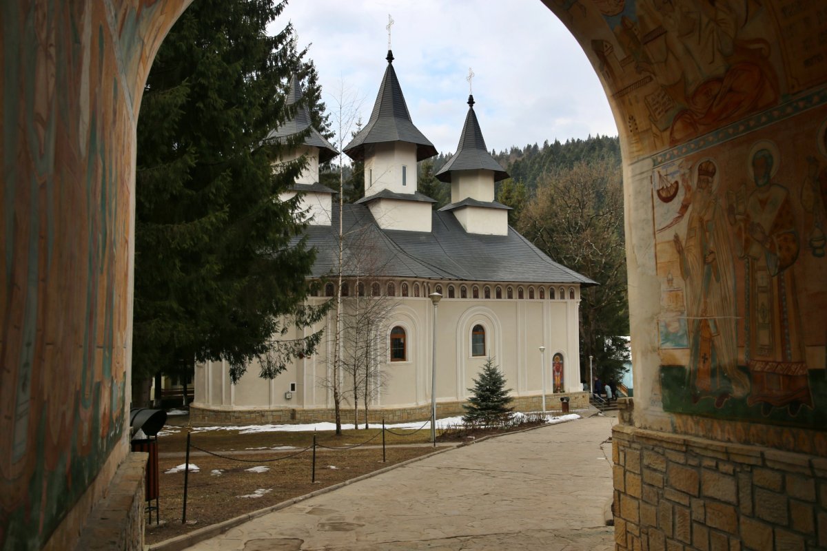 „Domnul S-a întrupat pentru ca omul să primească sălaș în inima Împărăției cerurilor“ 207507