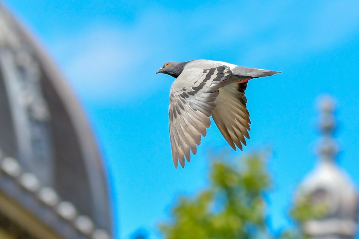 Pocăinţa, însoţirea omului în toate zilele 208084