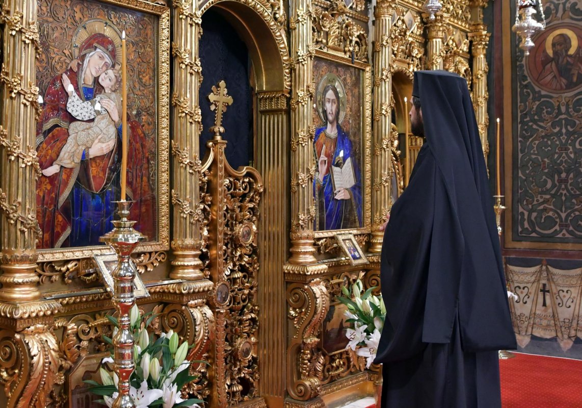 Salvarea celui căzut în păcat 208405