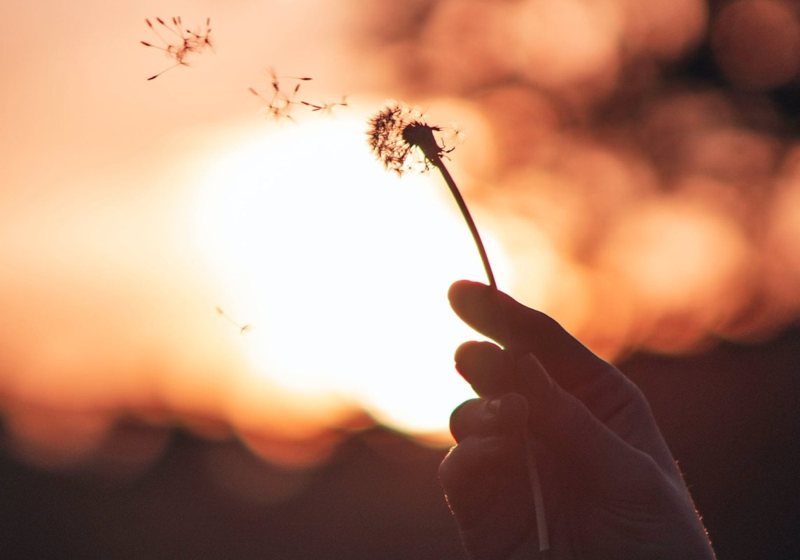 Alergiile, influențate de schimbările climatice 208504