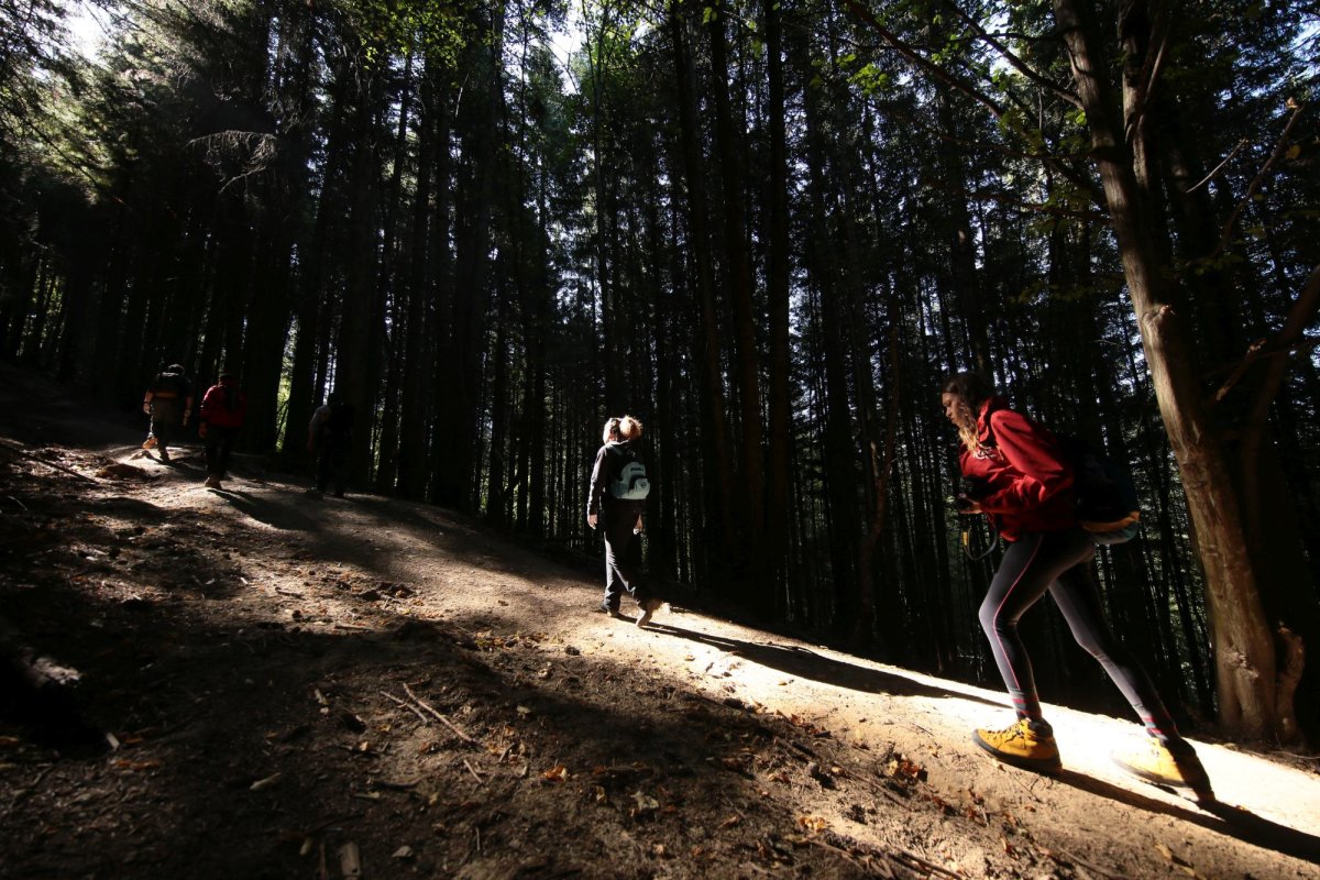 Trasee turistice noi în munții Oaș 208530