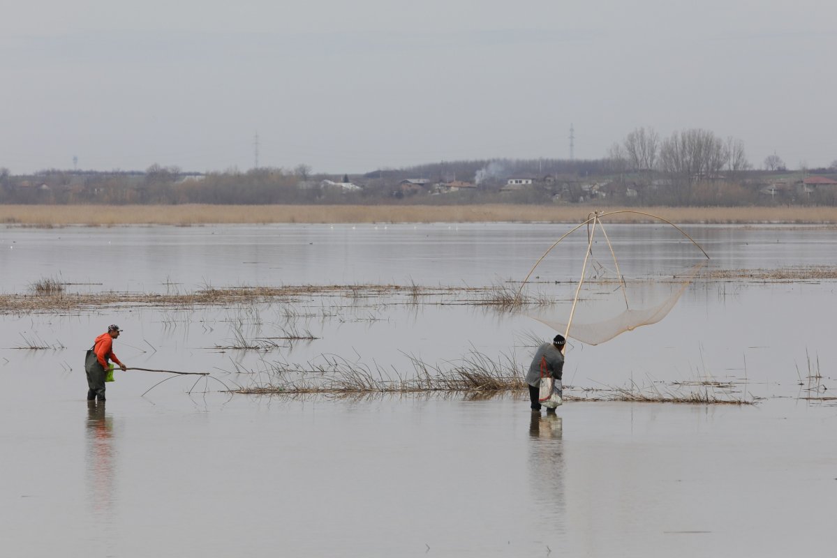 Sâmbătă începe prohibiția la pescuit 208738