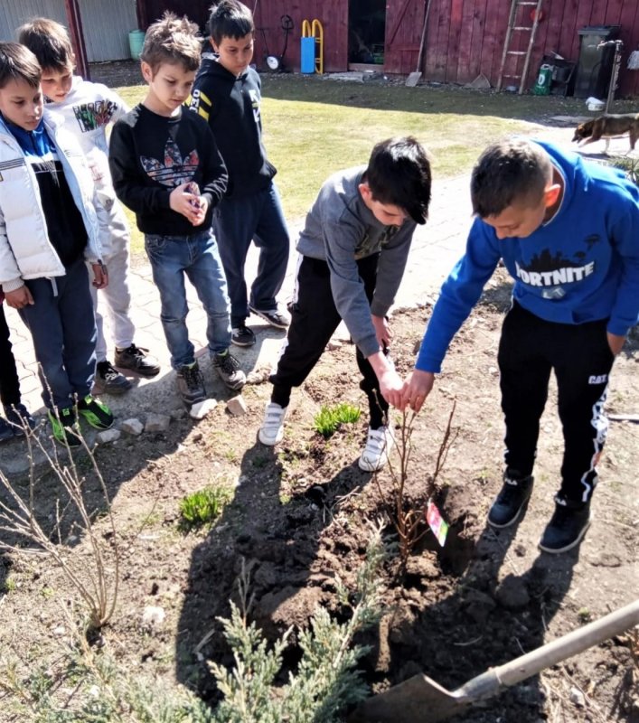 Activităţi cu copiii în Arhiepiscopia Alba Iuliei 208841