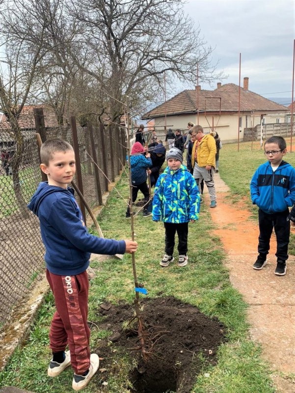 Activităţi cu copiii în Arhiepiscopia Alba Iuliei 208842