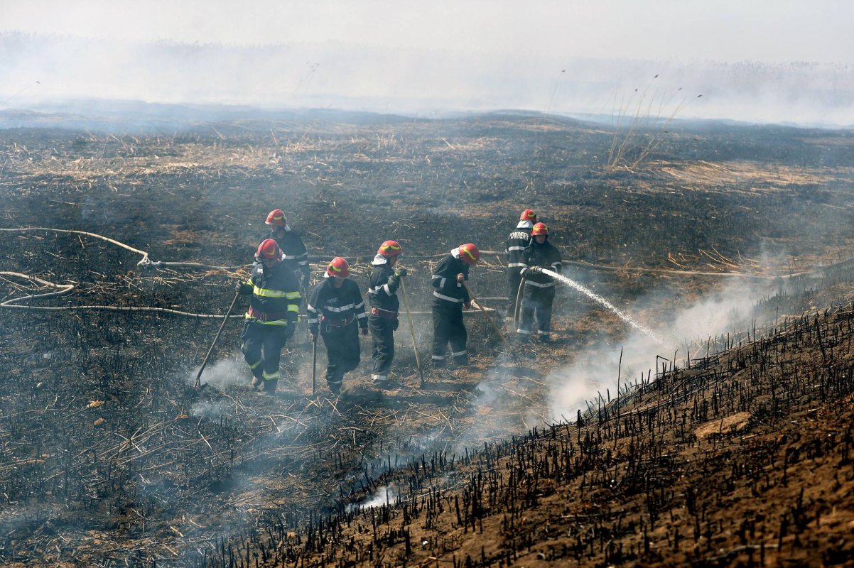 Incendiile de vegetaţie, un pericol  pentru fertilitatea solului 208824