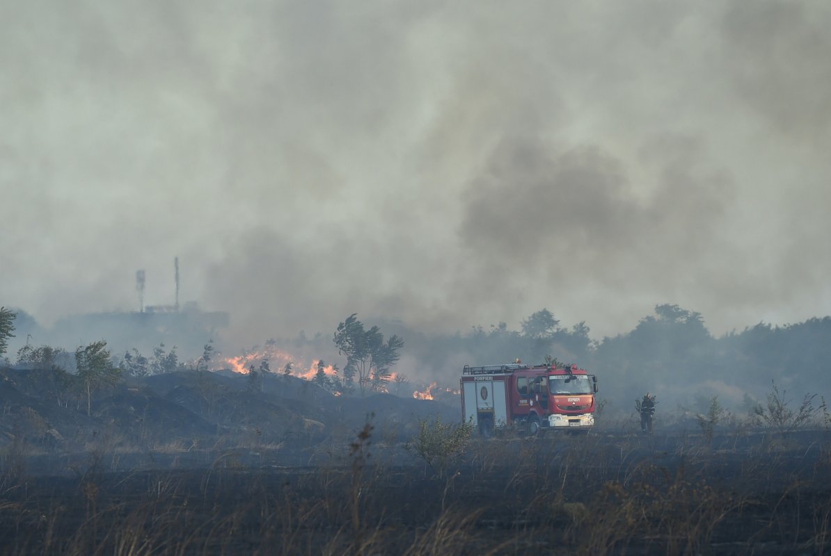 Incendiile de vegetaţie, un pericol  pentru fertilitatea solului 208825