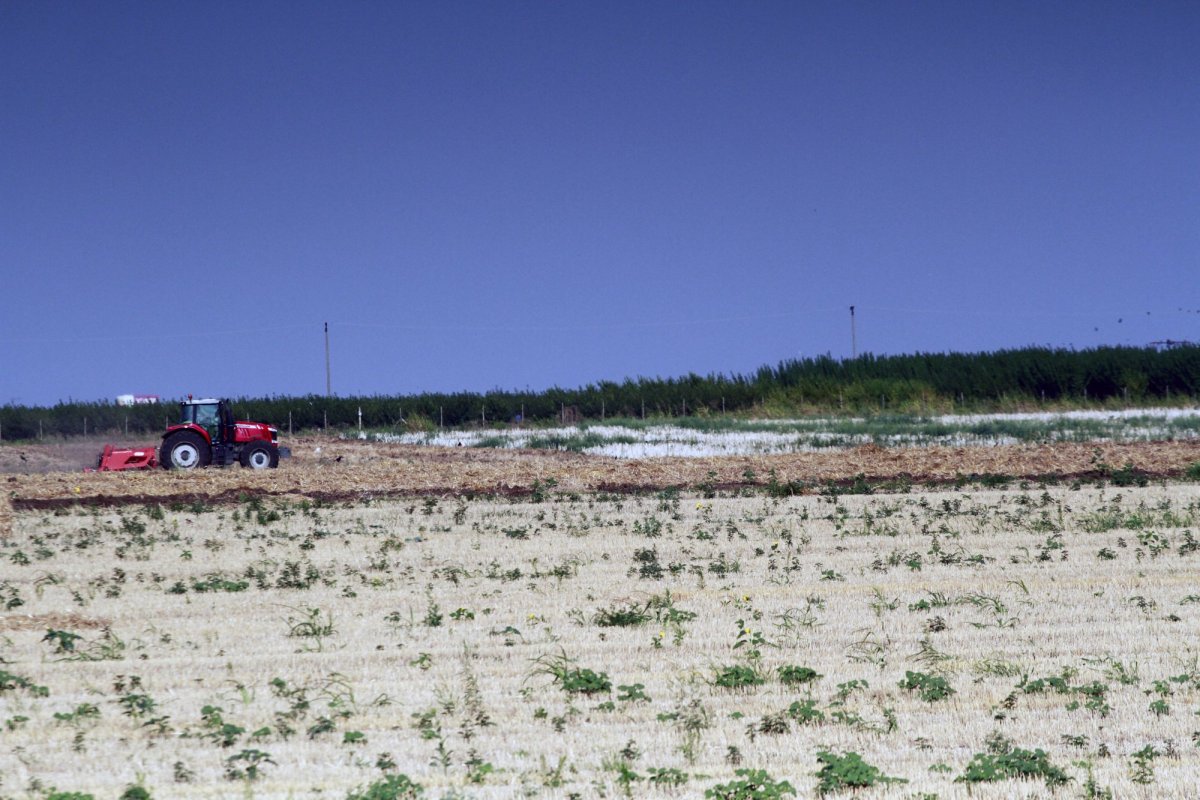 Fermierii, încurajați  să înființeze sisteme locale de irigații 209046