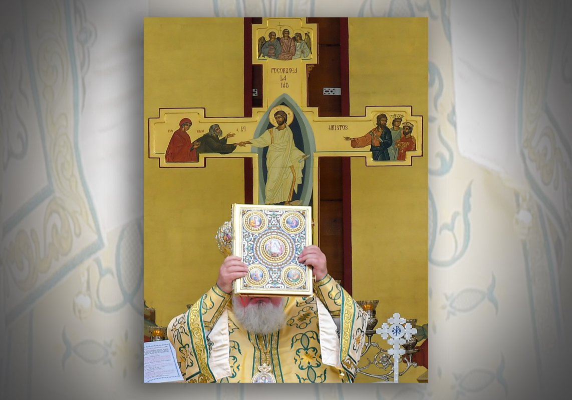 Ioan 10, 9-16 (Păstorul cel bun) 209309