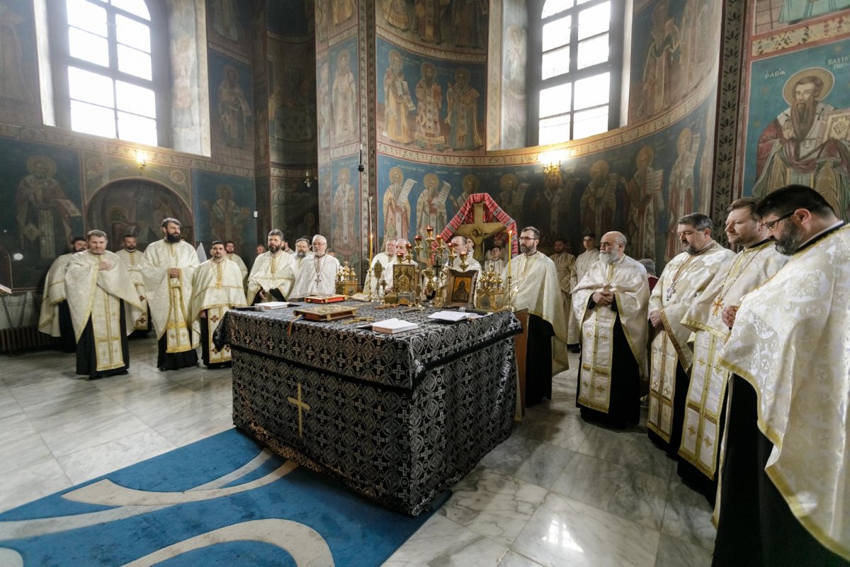 „Pelerinajul este, în primul rând, vestirea Evangheliei Domnului Hristos” 209865