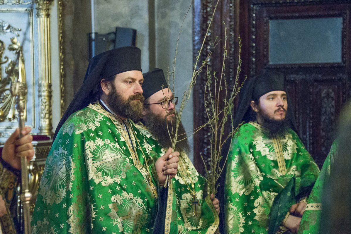 „Dumnezeu caută să vină și în sufletul nostru cel întristat” 210139