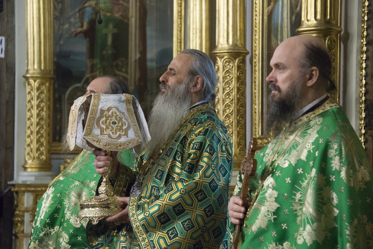 „Dumnezeu caută să vină și în sufletul nostru cel întristat” 210171