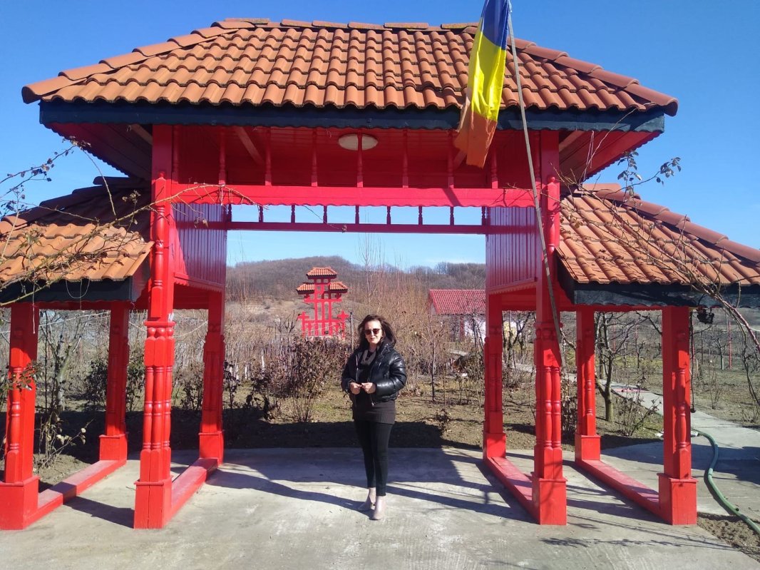 Marin Sorescu, geniul Olteniei creştine 209440