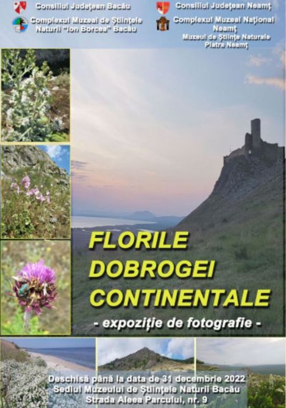 Expoziție de fotografie la Bacău 210184