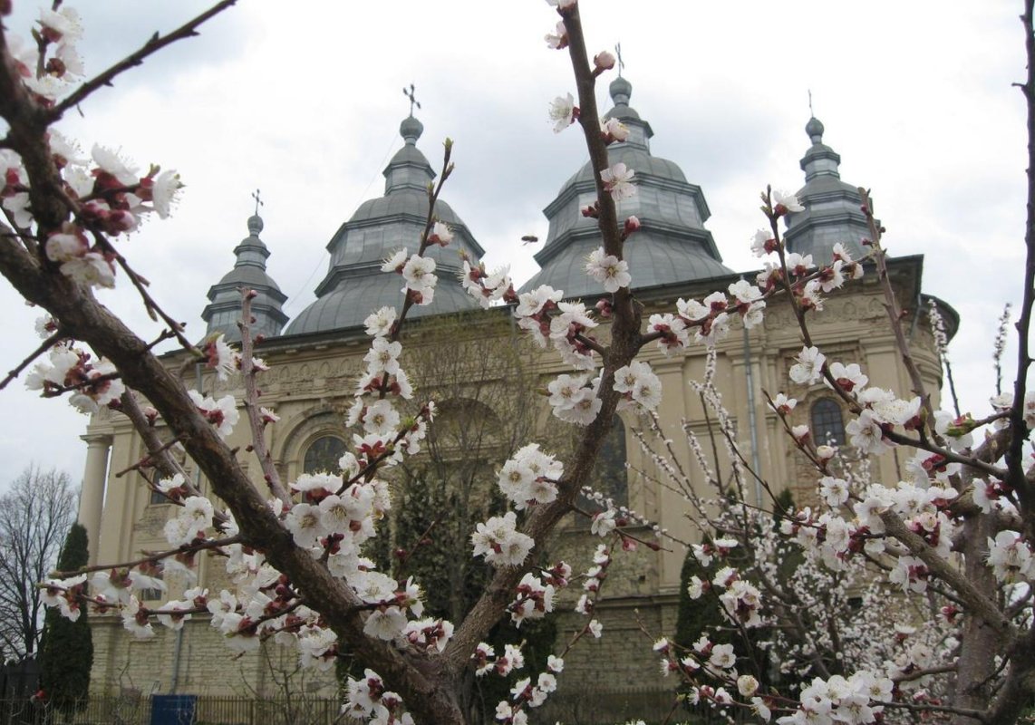 Renașterea ostrovului frumuseții din cetatea Iașilor 212201