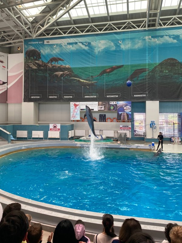 Excursie culturală la Constanța pentru 50 de elevi vrânceni 213558