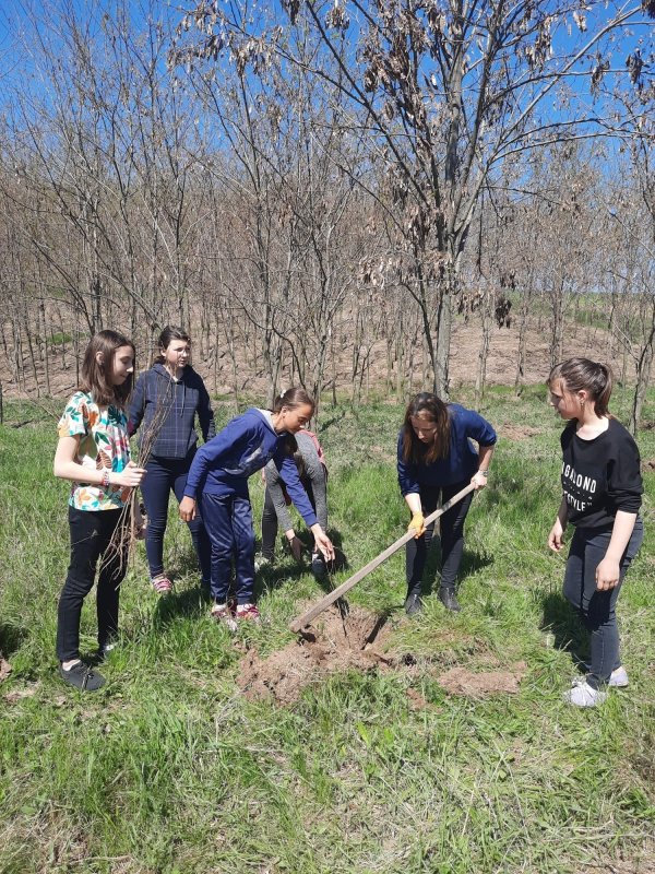 Acţiune ecologică la Mănăstirea Cârlomănești din judeţul Galaţi 214115