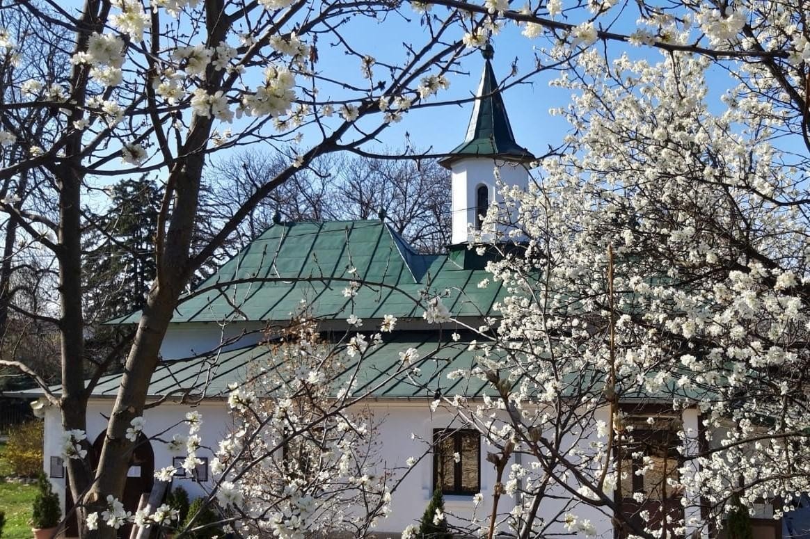 Părintele Hrisostom Dănilă, un rugător pentru cetate 213730